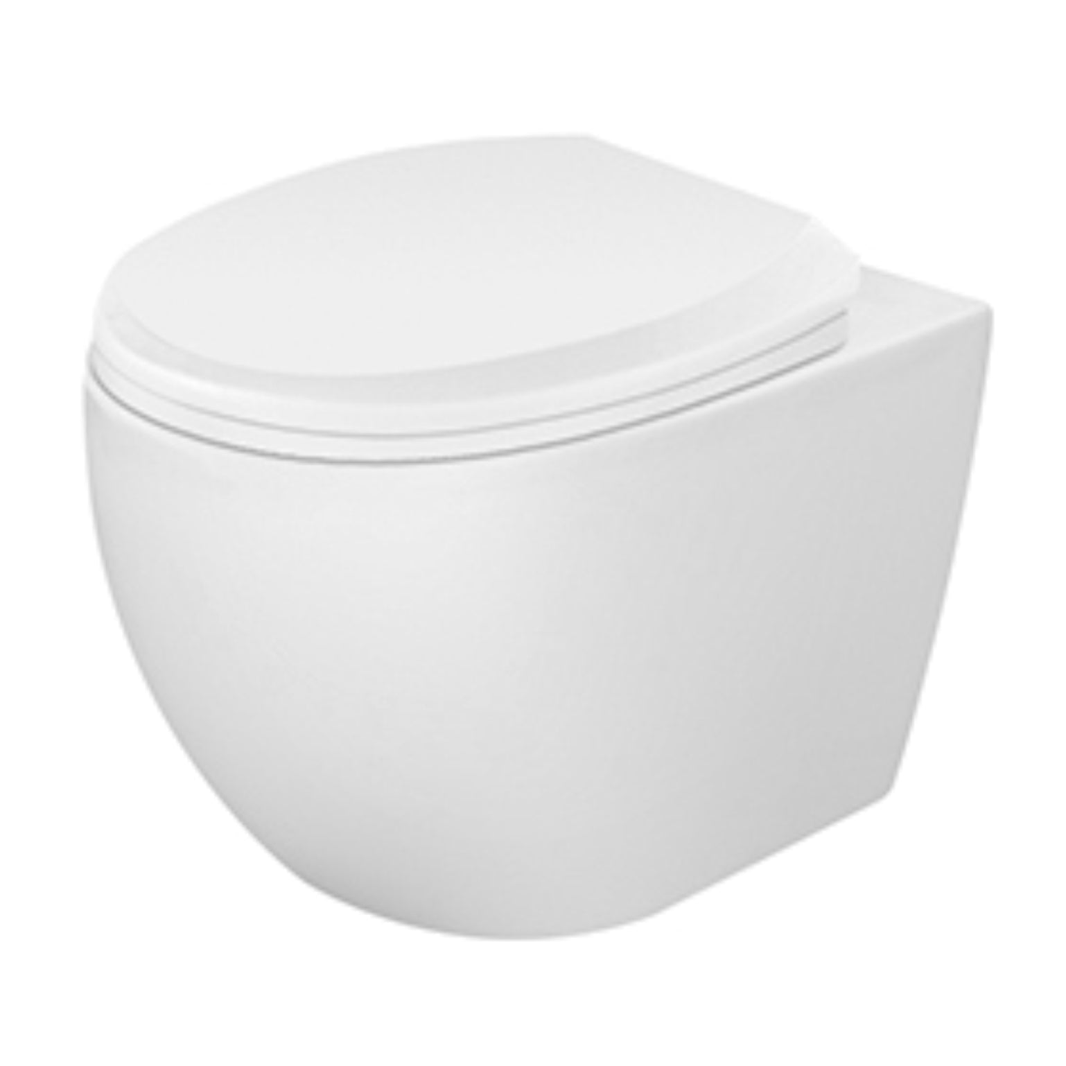 Wall Hung Commode
